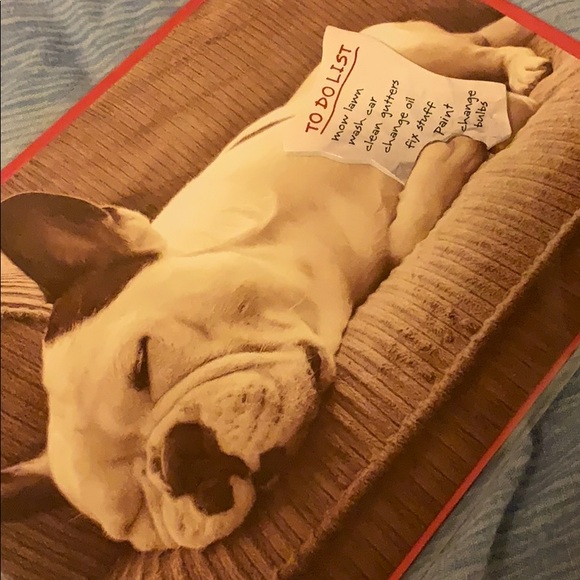 ⚡️5/$30⚡️Papyrus do nothing, Father’s Day card - Picture 5 of 8